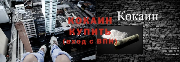 трава Гусь-Хрустальный