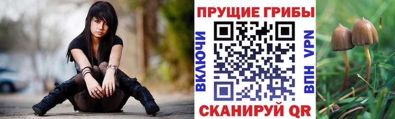 Купить закладки  Солигалич  Псилоцибиновые грибы Magic Shrooms 