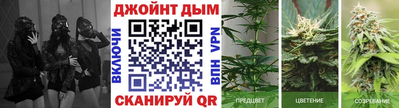 Купить  Солигалич  Бошки Шишки LSD WEED 